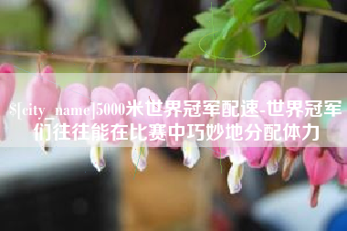 厦门5000米世界冠军配速-世界冠军们往往能在比赛中巧妙地分配体力