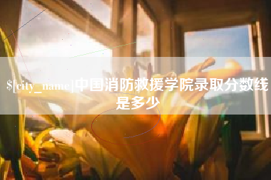 厦门中国消防救援学院录取分数线是多少