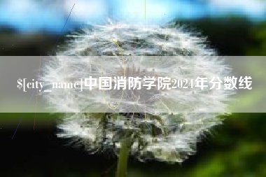 厦门中国消防学院2024年分数线
