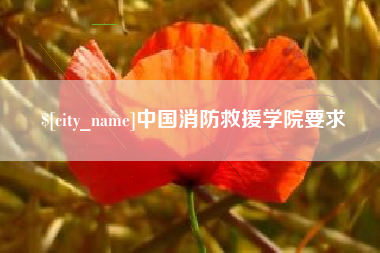 厦门中国消防救援学院要求