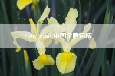 厦门中国金牌包括