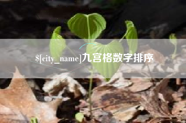 厦门九宫格数字排序