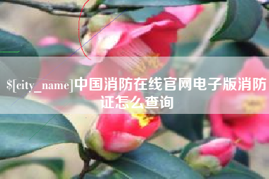 厦门中国消防在线官网电子版消防证怎么查询