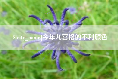厦门今年九宫格的不利颜色