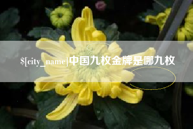 厦门中国九枚金牌是哪九枚