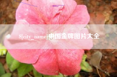 厦门中国金牌图片大全