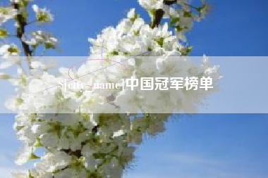 厦门中国冠军榜单