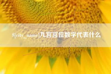 厦门九宫宫位数字代表什么
