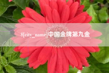 厦门中国金牌第九金