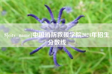 厦门中国消防救援学院2024年招生分数线
