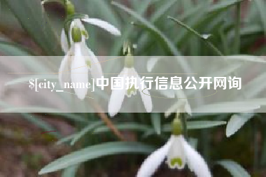 厦门中国执行信息公开网询