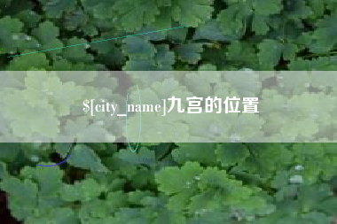 厦门九宫的位置