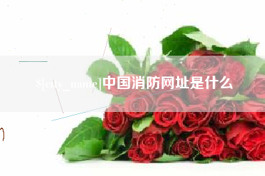 厦门中国消防网址是什么