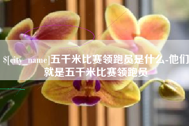 厦门五千米比赛领跑员是什么-他们就是五千米比赛领跑员