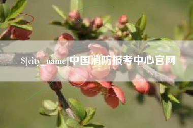厦门中国消防报考中心官网