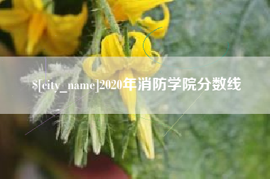 厦门2020年消防学院分数线