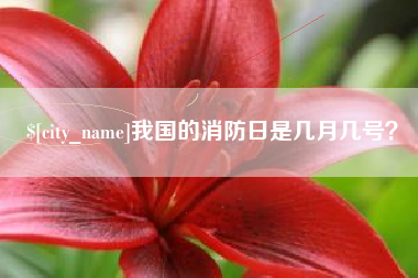 厦门我国的消防日是几月几号？