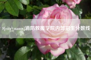 厦门消防救援学院内部招生分数线