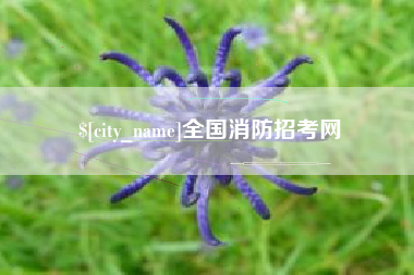 厦门全国消防招考网
