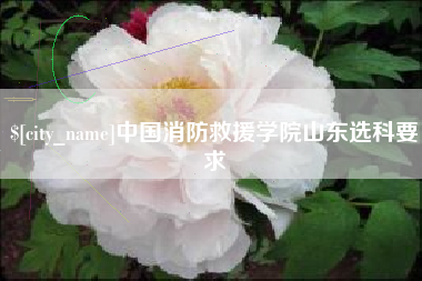 厦门中国消防救援学院山东选科要求