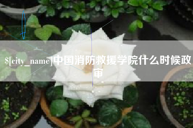 厦门中国消防救援学院什么时候政审