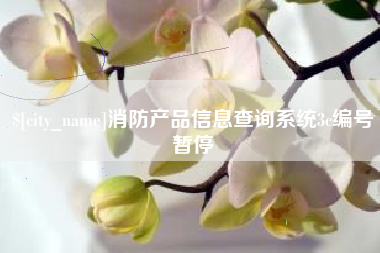 厦门消防产品信息查询系统3c编号暂停