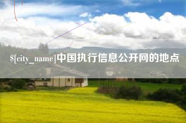 厦门中国执行信息公开网的地点