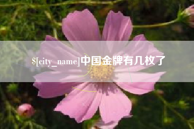 厦门中国金牌有几枚了