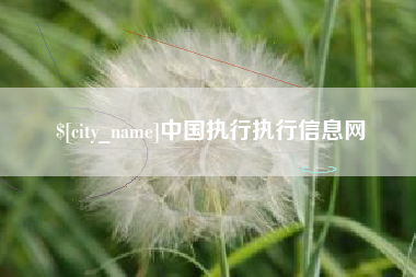 厦门中国执行执行信息网