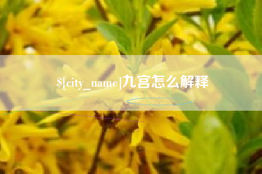 厦门九宫怎么解释