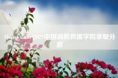 厦门2021中国消防救援学院录取分数