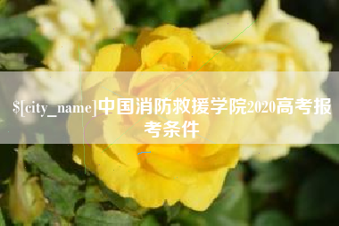 厦门中国消防救援学院2020高考报考条件