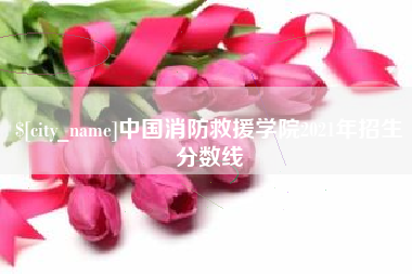 厦门中国消防救援学院2021年招生分数线