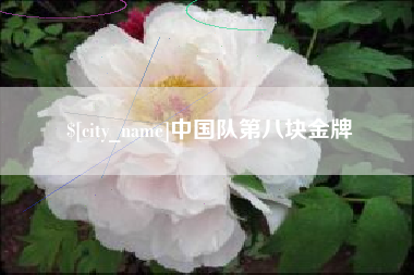 厦门中国队第八块金牌