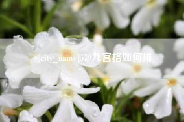 厦门579九宫格如何排