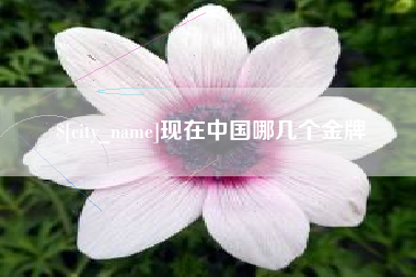 厦门现在中国哪几个金牌