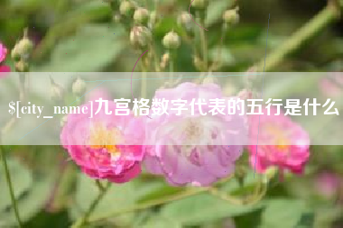 厦门九宫格数字代表的五行是什么
