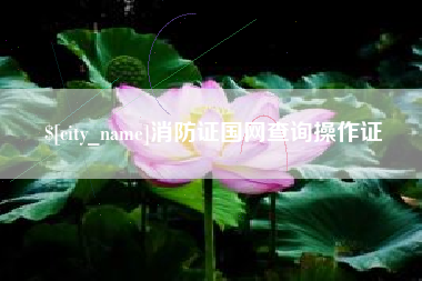 厦门消防证国网查询操作证