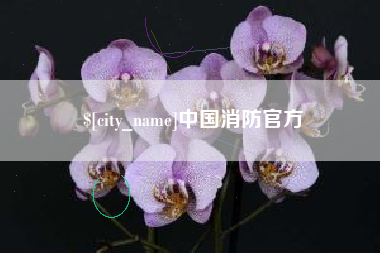 厦门中国消防官方