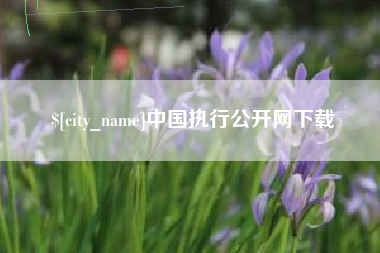 厦门中国执行公开网下载