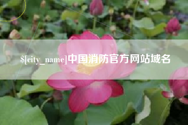 厦门中国消防官方网站域名