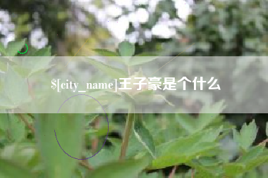 厦门王子豪是个什么