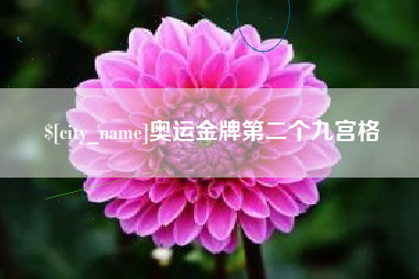 厦门奥运金牌第二个九宫格