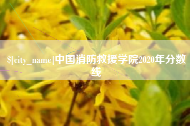 厦门中国消防救援学院2020年分数线