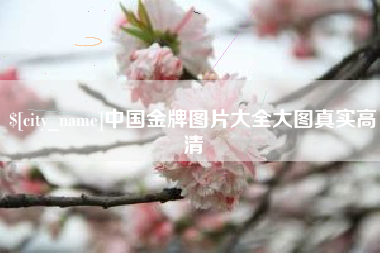 厦门中国金牌图片大全大图真实高清