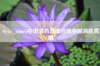 厦门中国消防直播回放中国消防直播