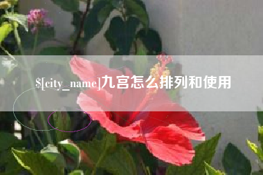 厦门九宫怎么排列和使用