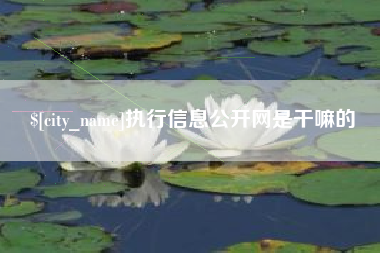 厦门执行信息公开网是干嘛的