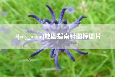 厦门地图指南针图标图片