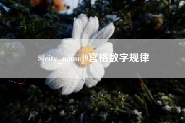 厦门9宫格数字规律